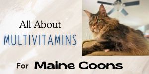 multivitamins for maine coons