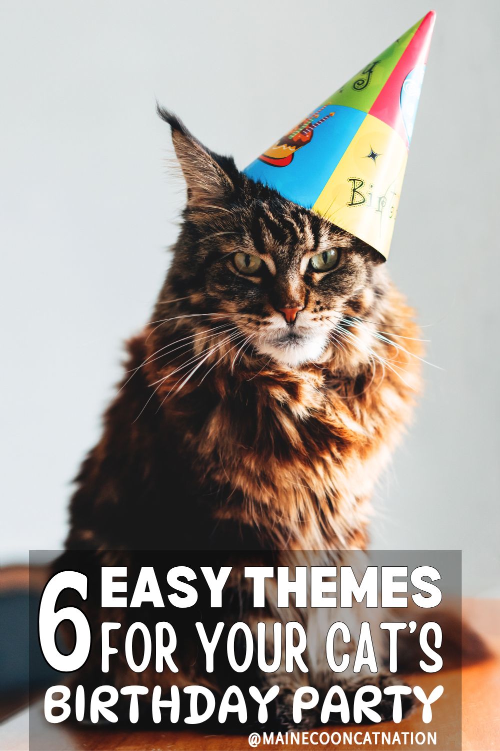 grumpy looking brown tabby maine coon wearing a party hat and the words 6 easy themes for your cats birthday party